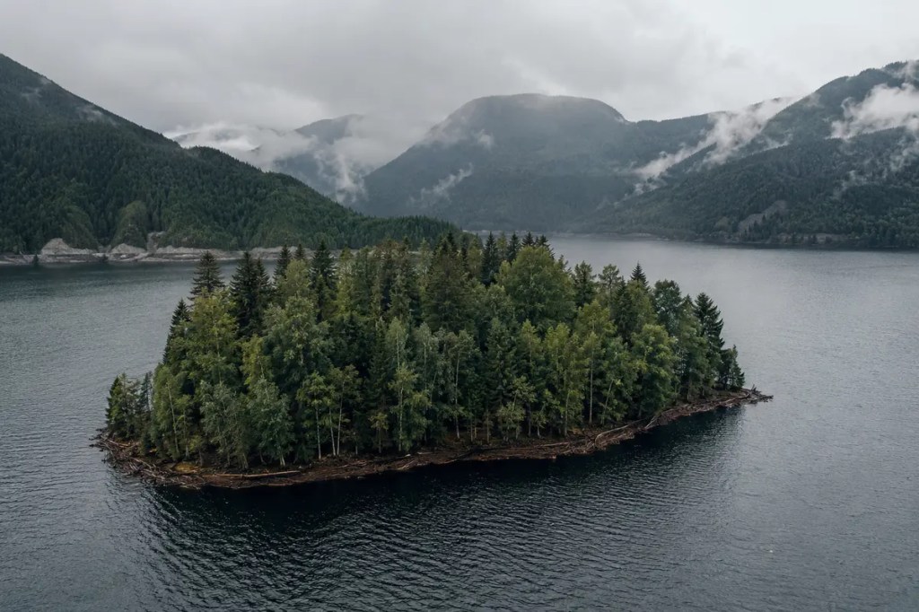 A densely wooded floating island carrying mature trees across a broad northern lake beneath an overcast sky.